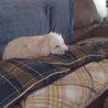 Patricia Pappas Photo 20