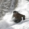 Matt Irwin Photo 4