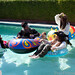 Christopher Morrell Photo 29