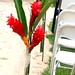 Jill Bloom Photo 17