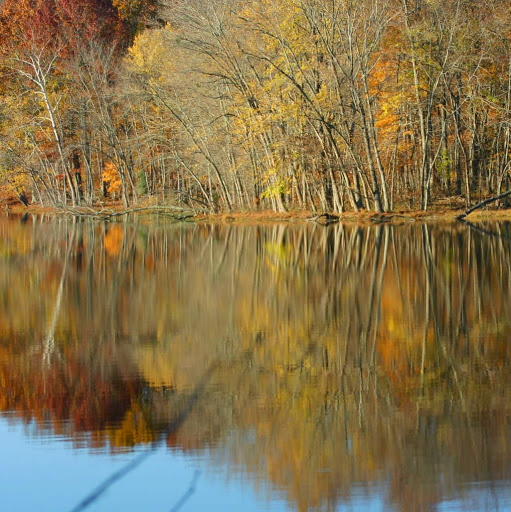 Lisa Dupree Photo 38