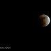 Shawn Sullivan Photo 19