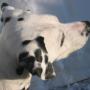Matthew Beyer Photo 28