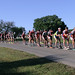 Richard Aguilar Photo 13