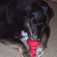 Terry Nichols Photo 21