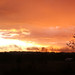 Linda Clanton Photo 8