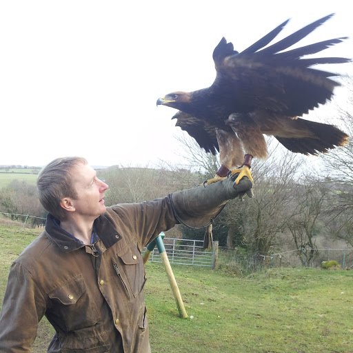 Tom Parham Photo 9