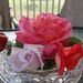 Suzanne Rose Photo 42