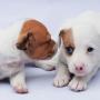 Brenda Gass Photo 19