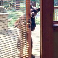 Linda Pyles Photo 27