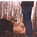 Diana Wood Photo 13