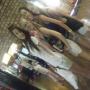Rachel Whitten Photo 17
