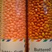 Carolina Bean Photo 8