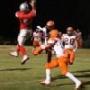 Peter Donnelly Photo 10