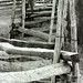 Elmer Howell Photo 2