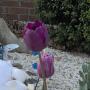Janet Gregory Photo 23