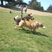 Bonny Bailey Photo 12