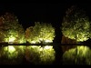 Mark Schafer Photo 22