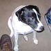 Russell Applegate Photo 10