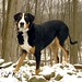 Susan Timmons Photo 36