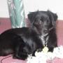 Penny Duncan Photo 42