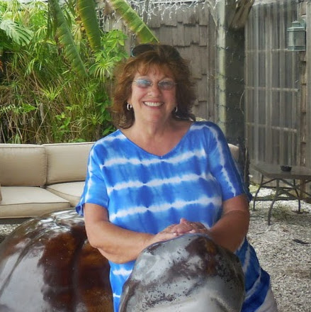 Susan Vargo Photo 26
