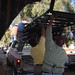Nancy Fierro Photo 20