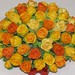 Terry Rose Photo 44