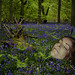 Allison Owen Photo 15