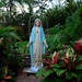 Mary Guthrie Photo 17