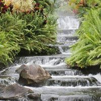 Deborah Parkin Photo 14