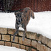 Carroll Timms Photo 8