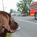 Avis Bell Photo 17