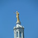 Helen Farnsworth Photo 11