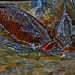 Jackie Carp Photo 6