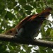 Kathleen Montes Photo 15