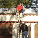 Daniel Duke Photo 13