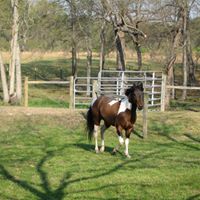 Tina Ford Photo 34