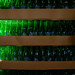 Gregory Stack Photo 9