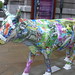 Kathryn Bray Photo 19
