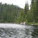 Dorothy Camp Photo 12