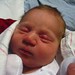 Joseph Asher Photo 12