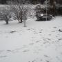 Ronald Stevenson Photo 15