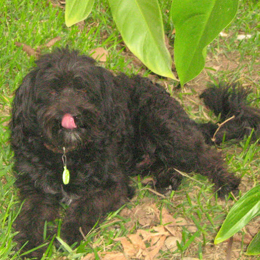 Octavio Contreras Photo 34