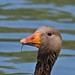 Donald Pond Photo 8