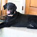 Heather Summers Photo 14