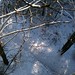 John Olmsted Photo 20