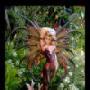 Patricia Barnard Photo 11