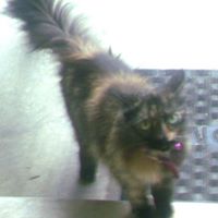 Roberta Stover Photo 3