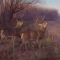 Jerry Parrish Photo 20